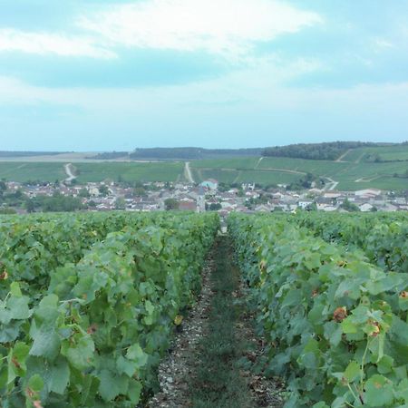 Une Parenthese En Champagne Jaucourt Exterior photo