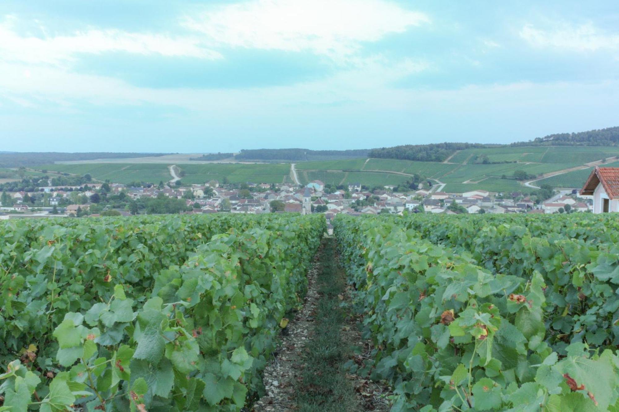 Une Parenthese En Champagne Jaucourt Exterior photo
